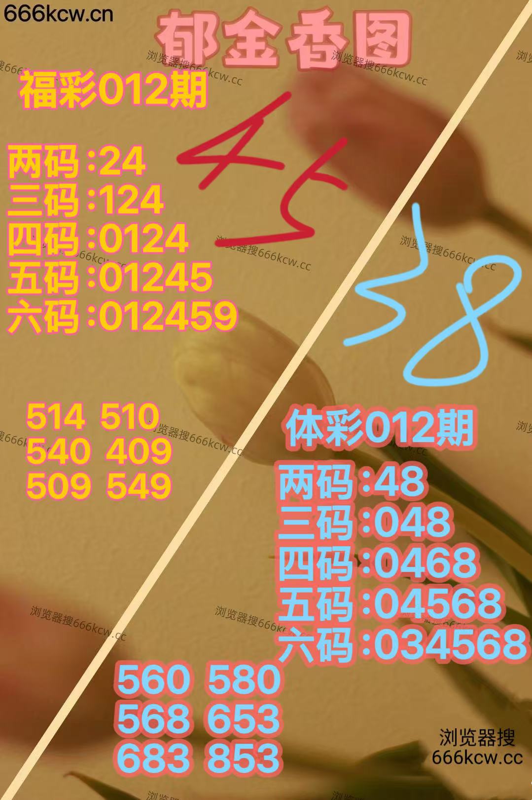 微信图片_20260112163918_5805_2