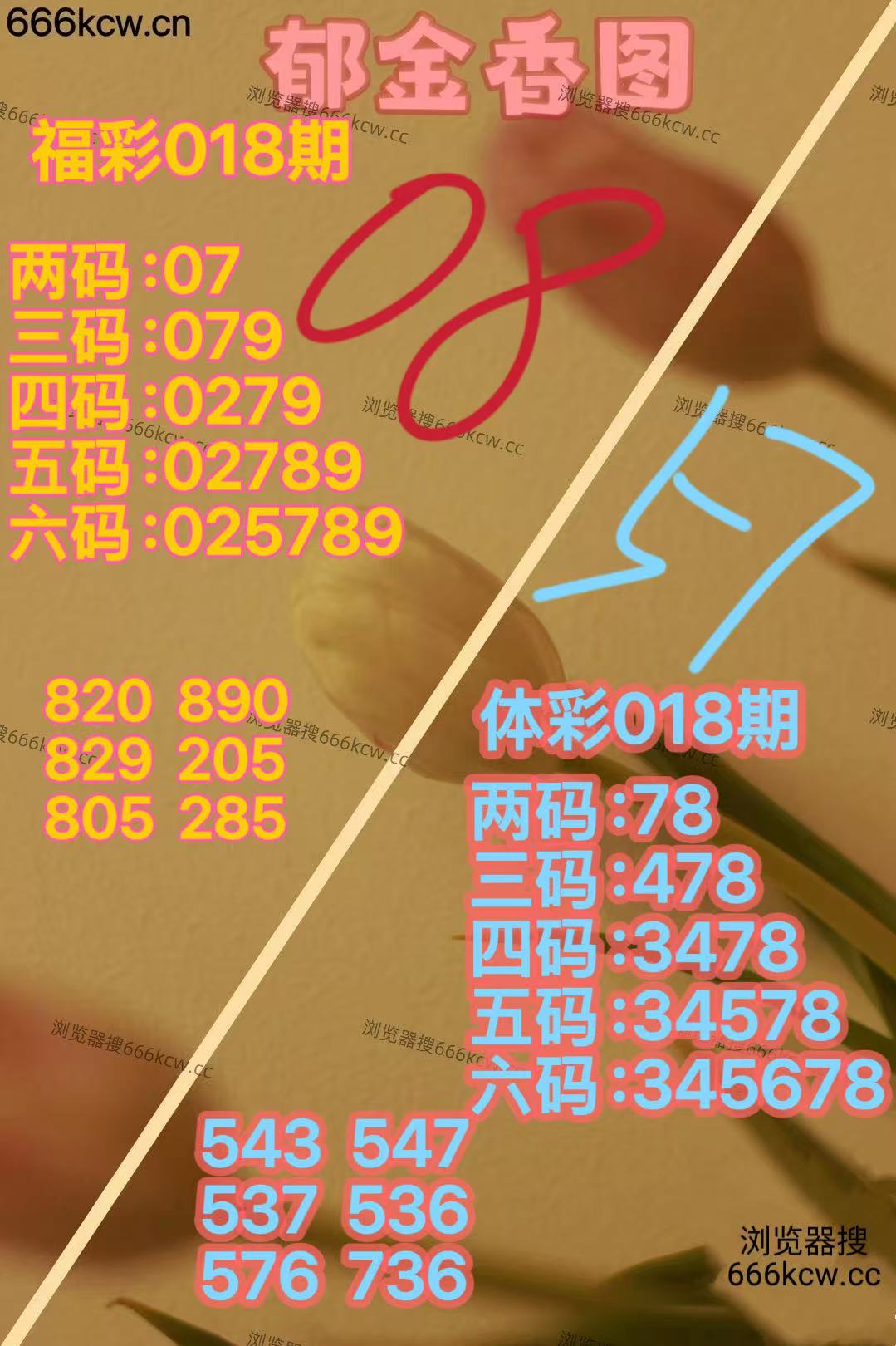 微信图片_20260118165729_5999_2