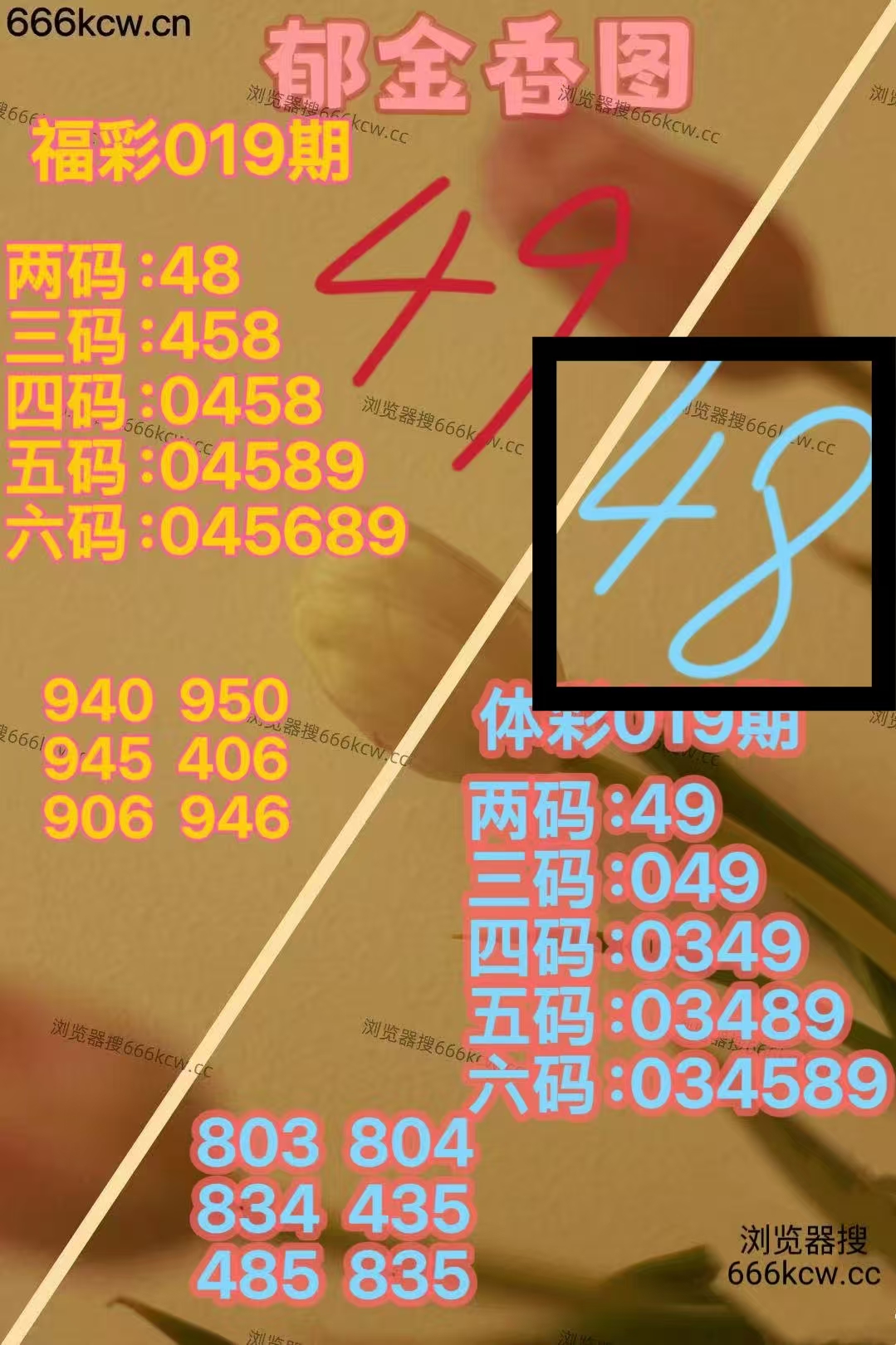 微信图片_20260119233502_3736_1