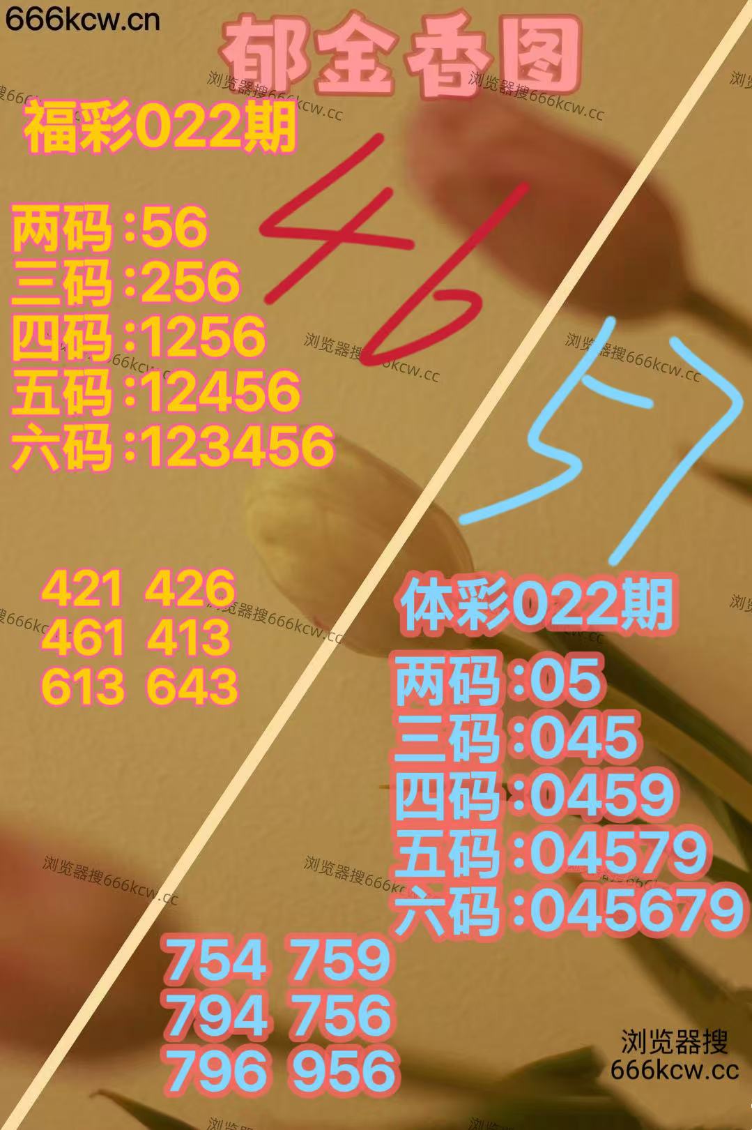 微信图片_20260122165741_6206_2