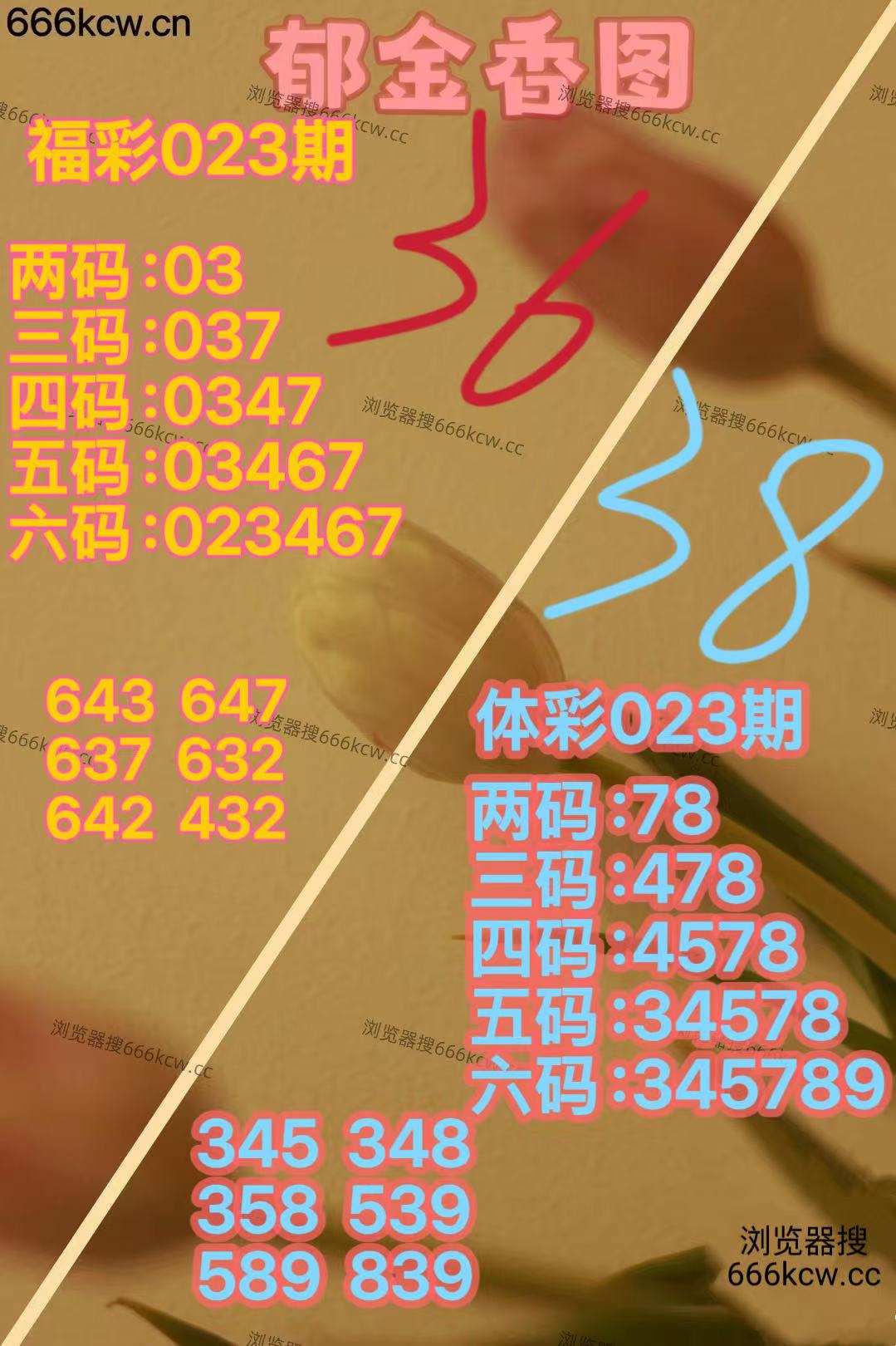 微信图片_20260123164008_6235_2(1)