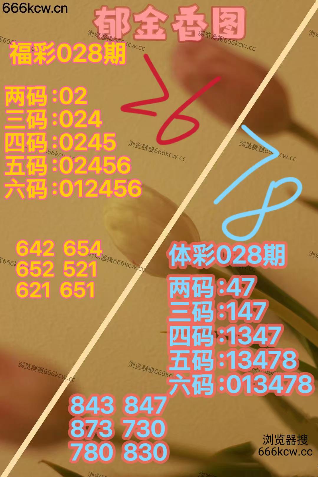 mmexport1769591003528