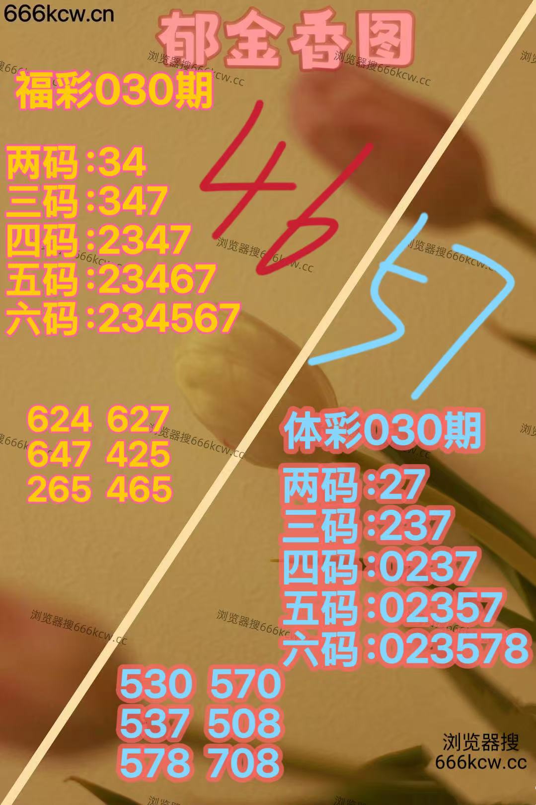 微信图片_20260130165816_6566_2