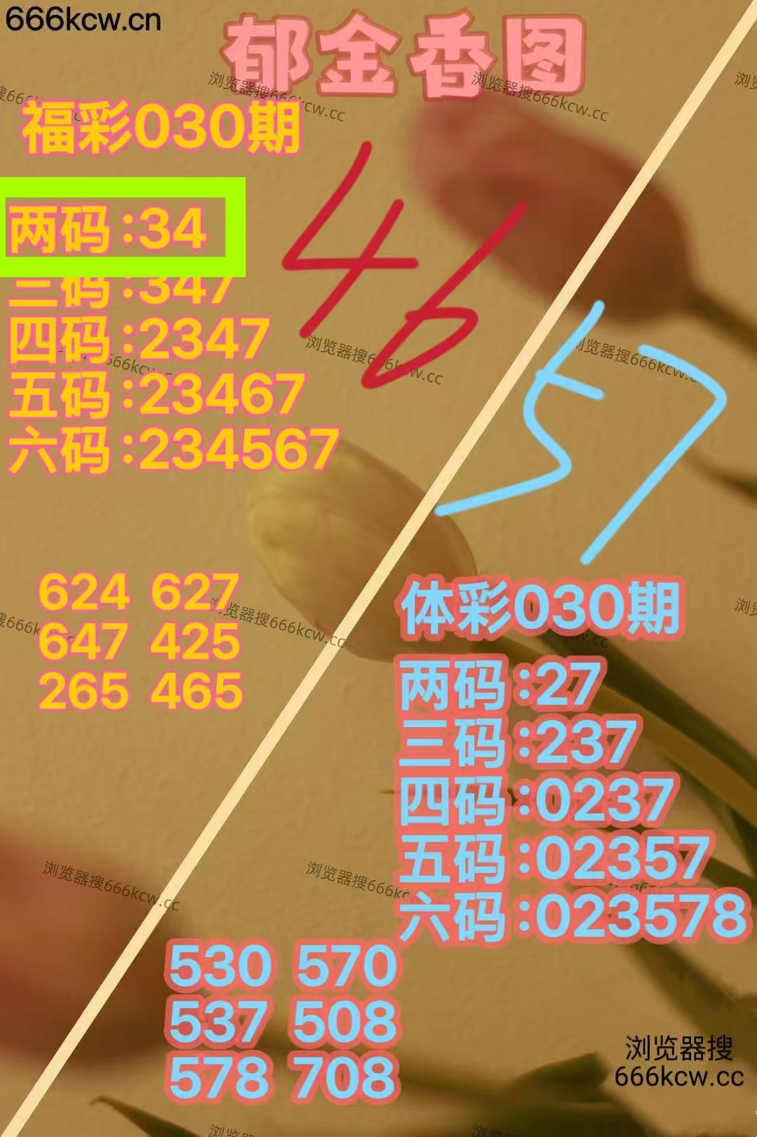 微信图片_20260130224905_616_9