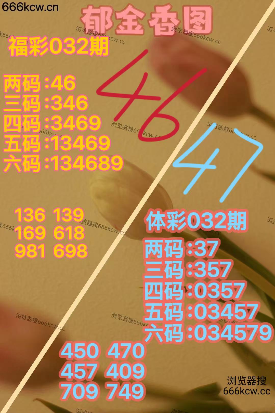 mmexport1769935805673