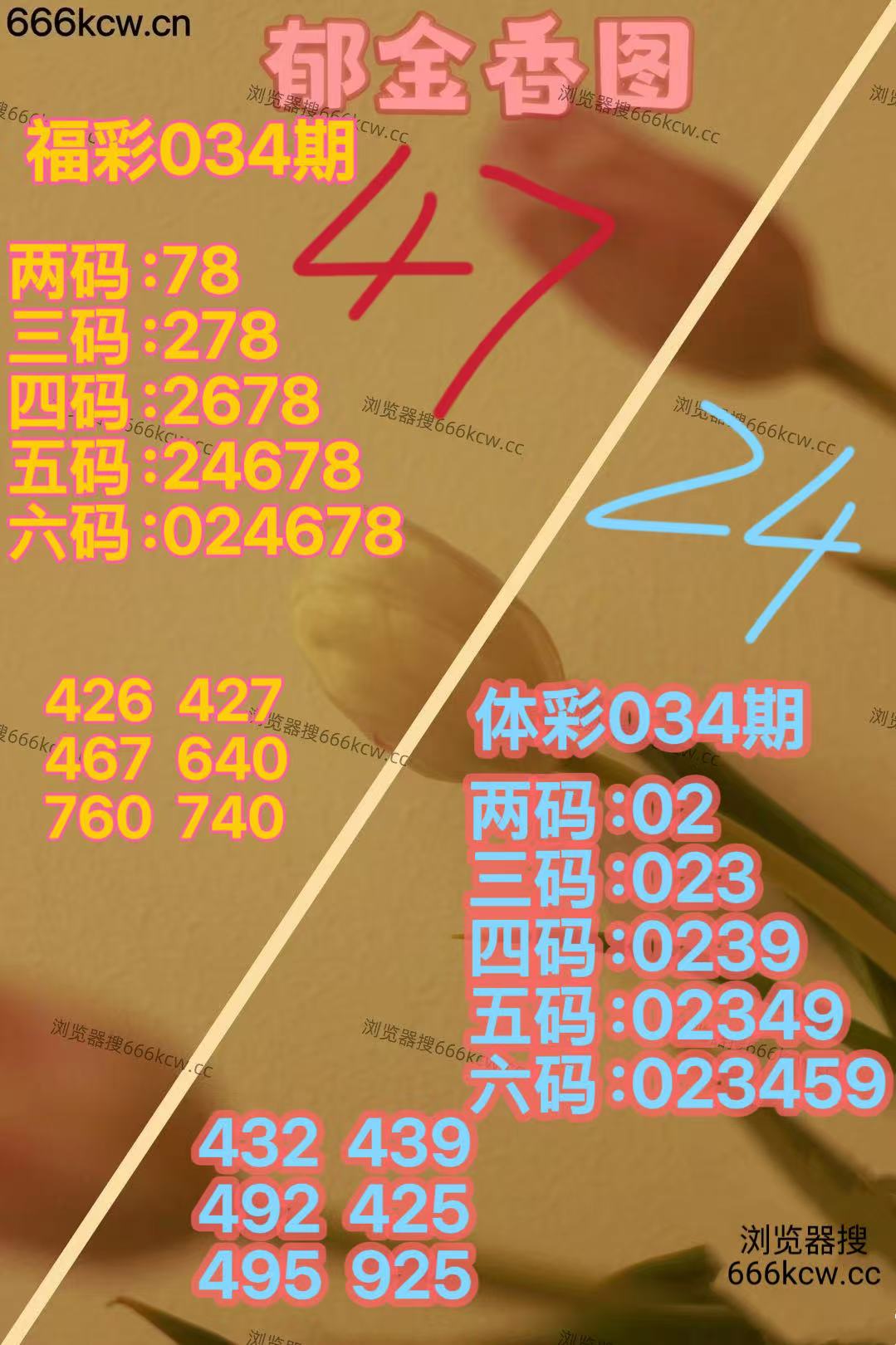 微信图片_20260203164512_1577_70