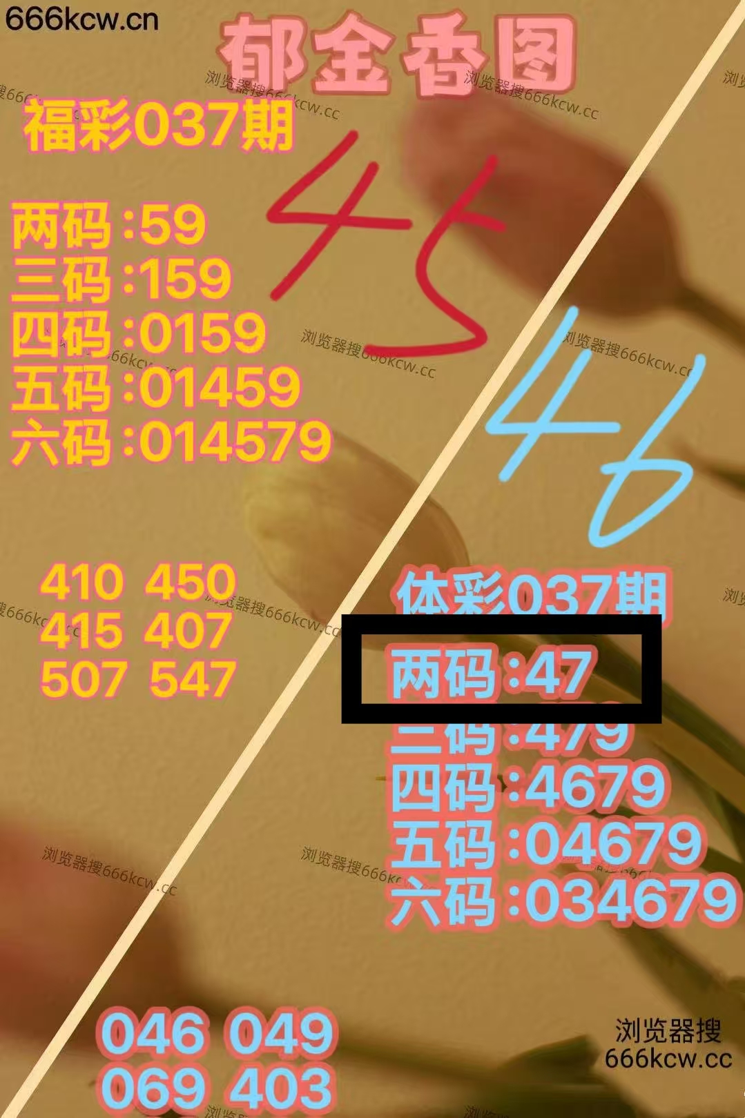 微信图片_20260206224747_4229_1