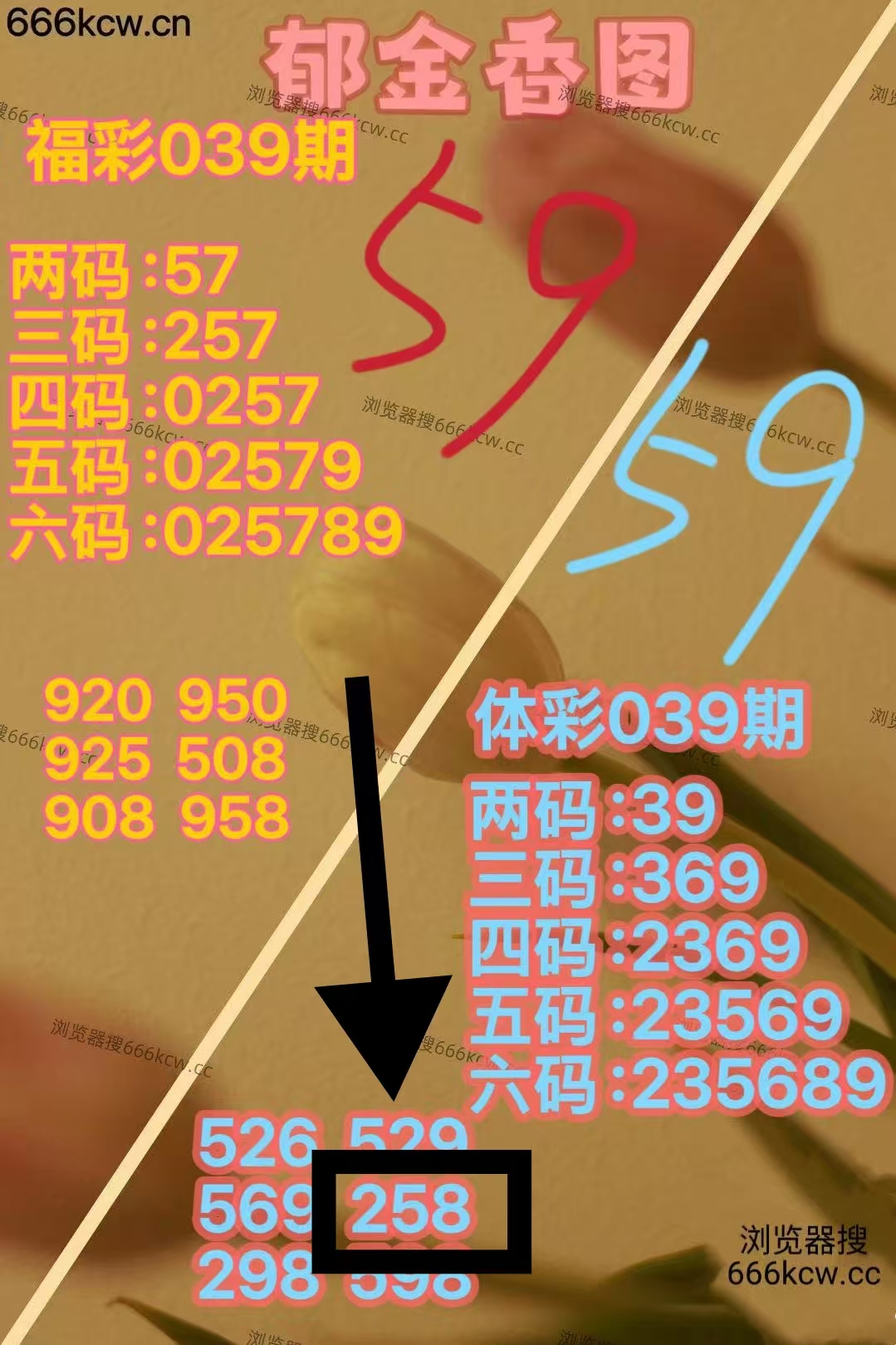 微信图片_20260208223603_4322_1