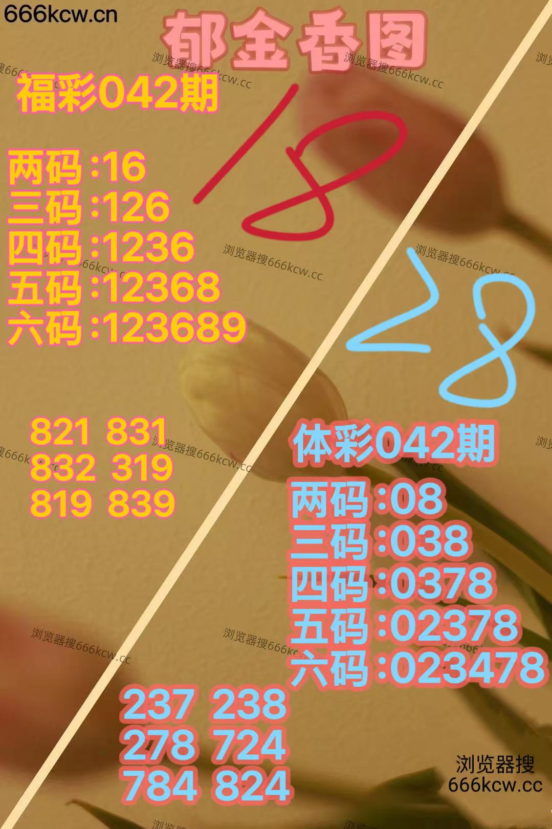 mmexport1770801358379