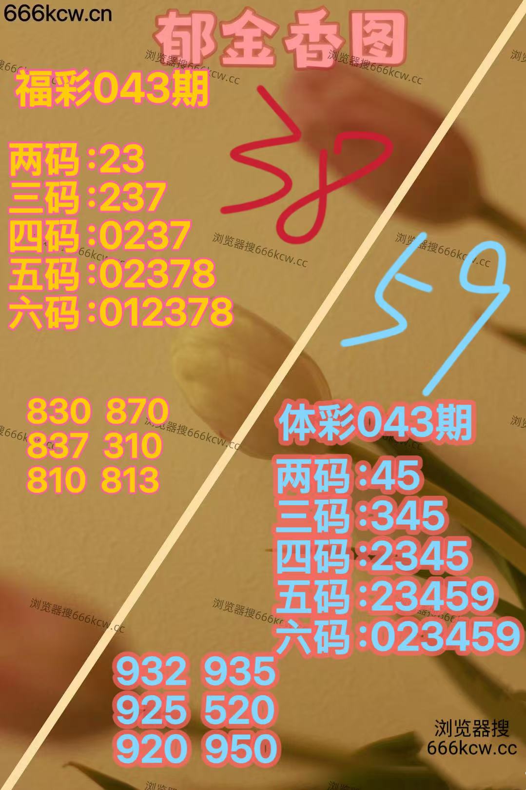 mmexport1770886496055