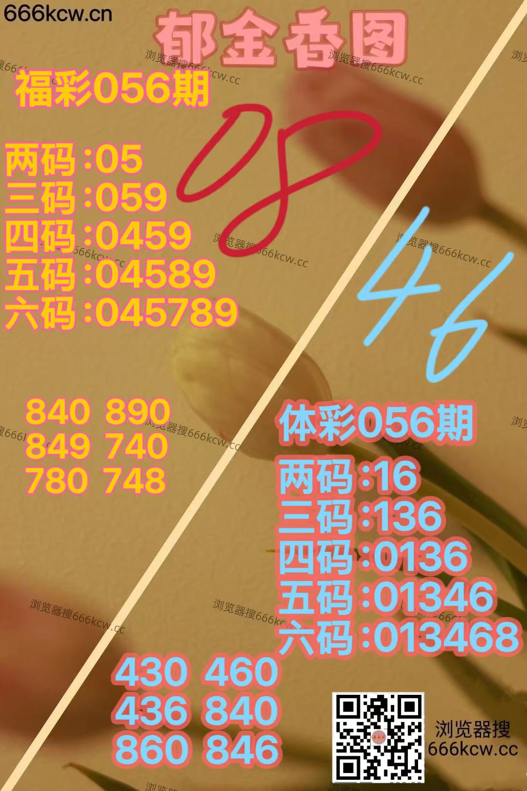 微信图片_20260307022559_7633_2