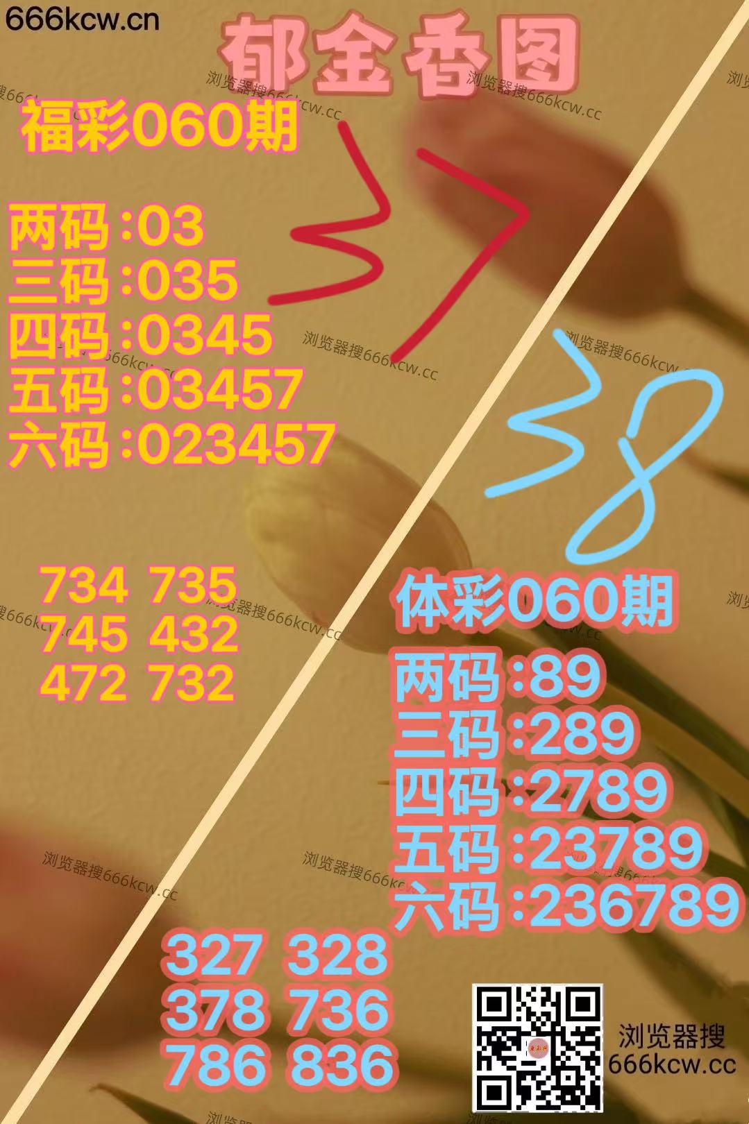 微信图片_20260311013110_7786_2