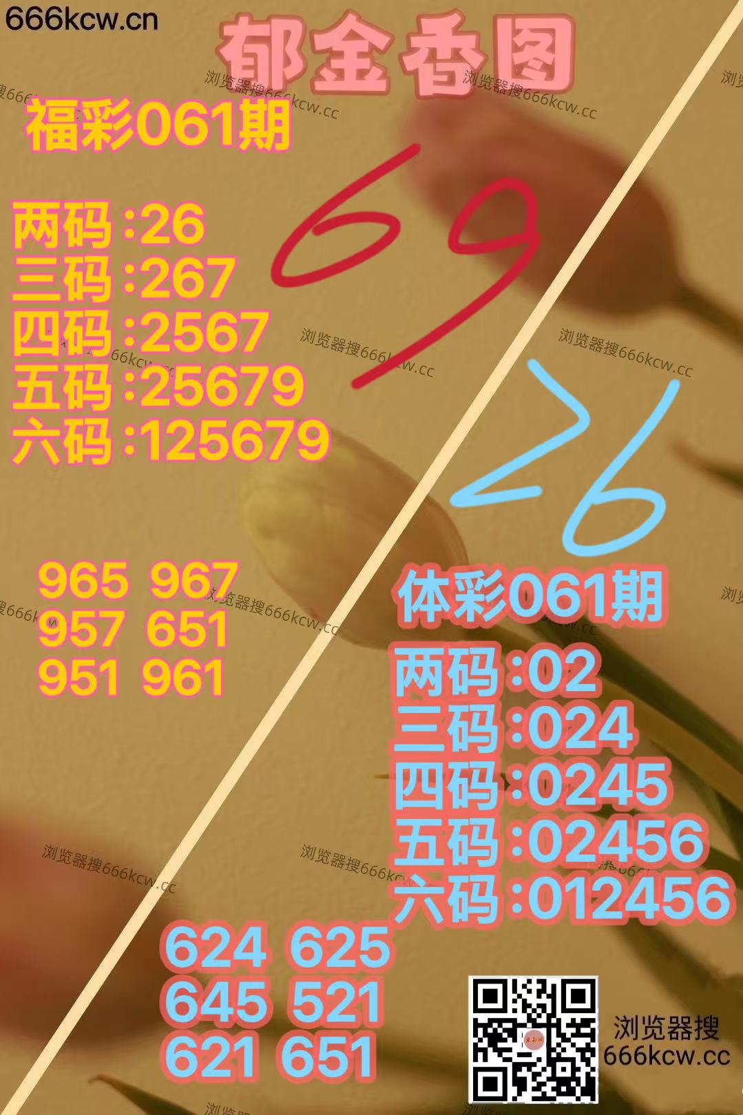 微信图片_20260312031522_7813_2