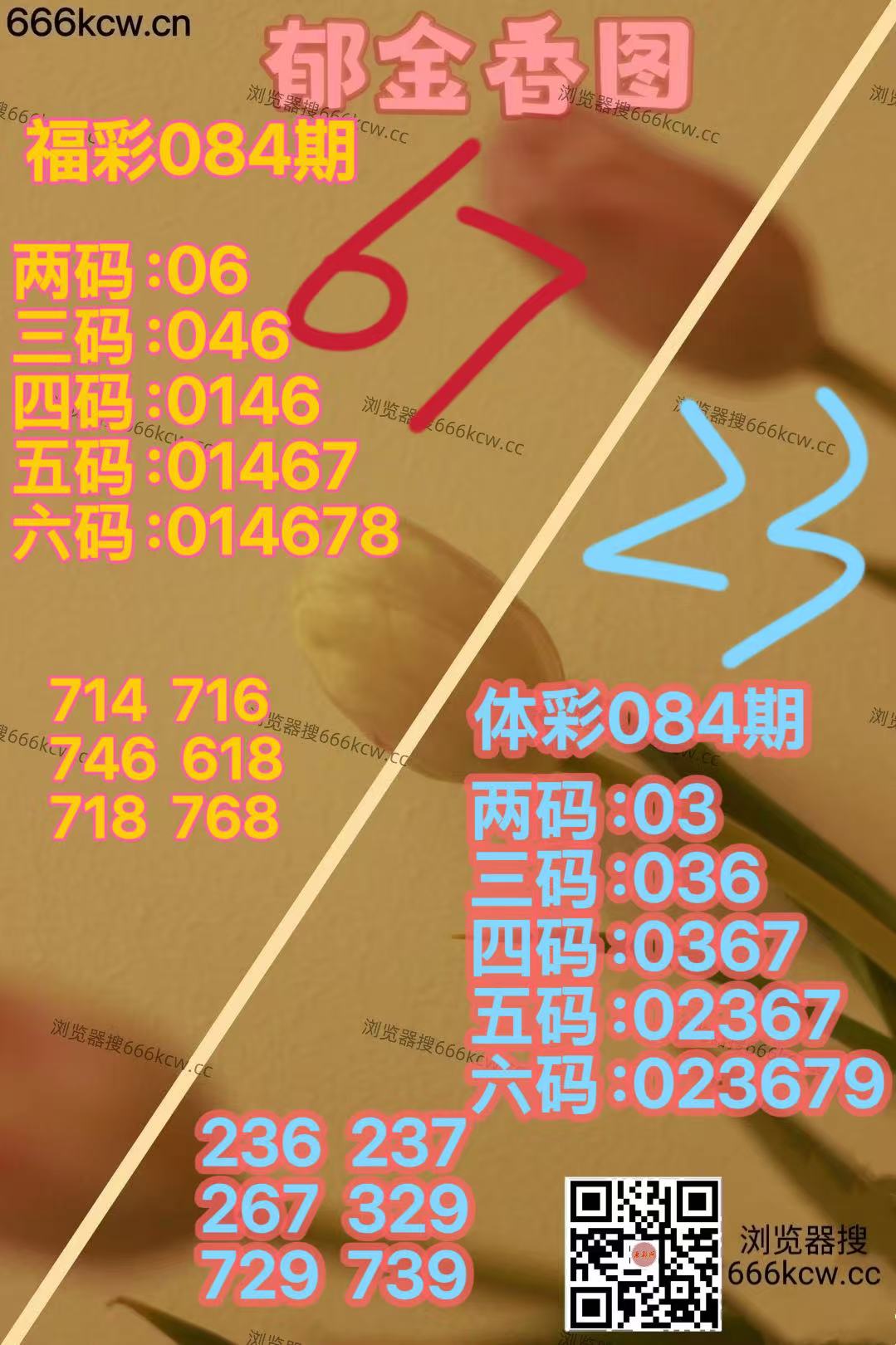 ba9ccf8fe46a19354bd46e9a7bdaee2d