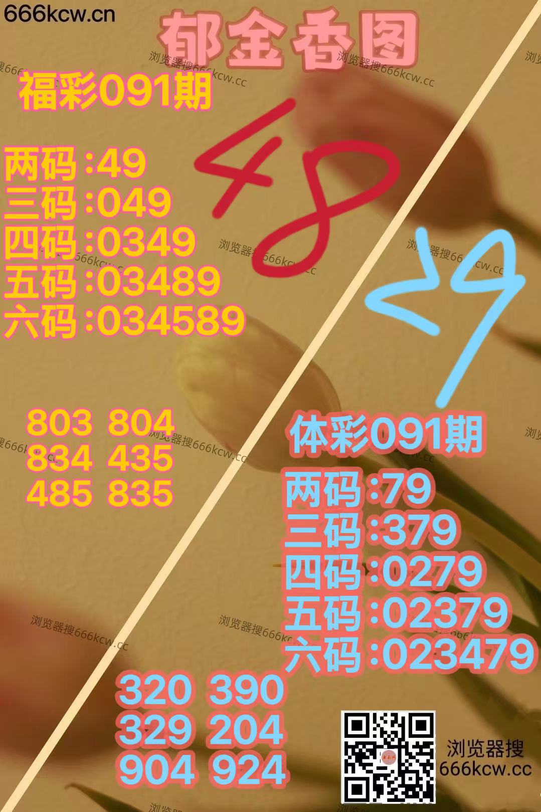 微信图片_20260410223804_2381_70