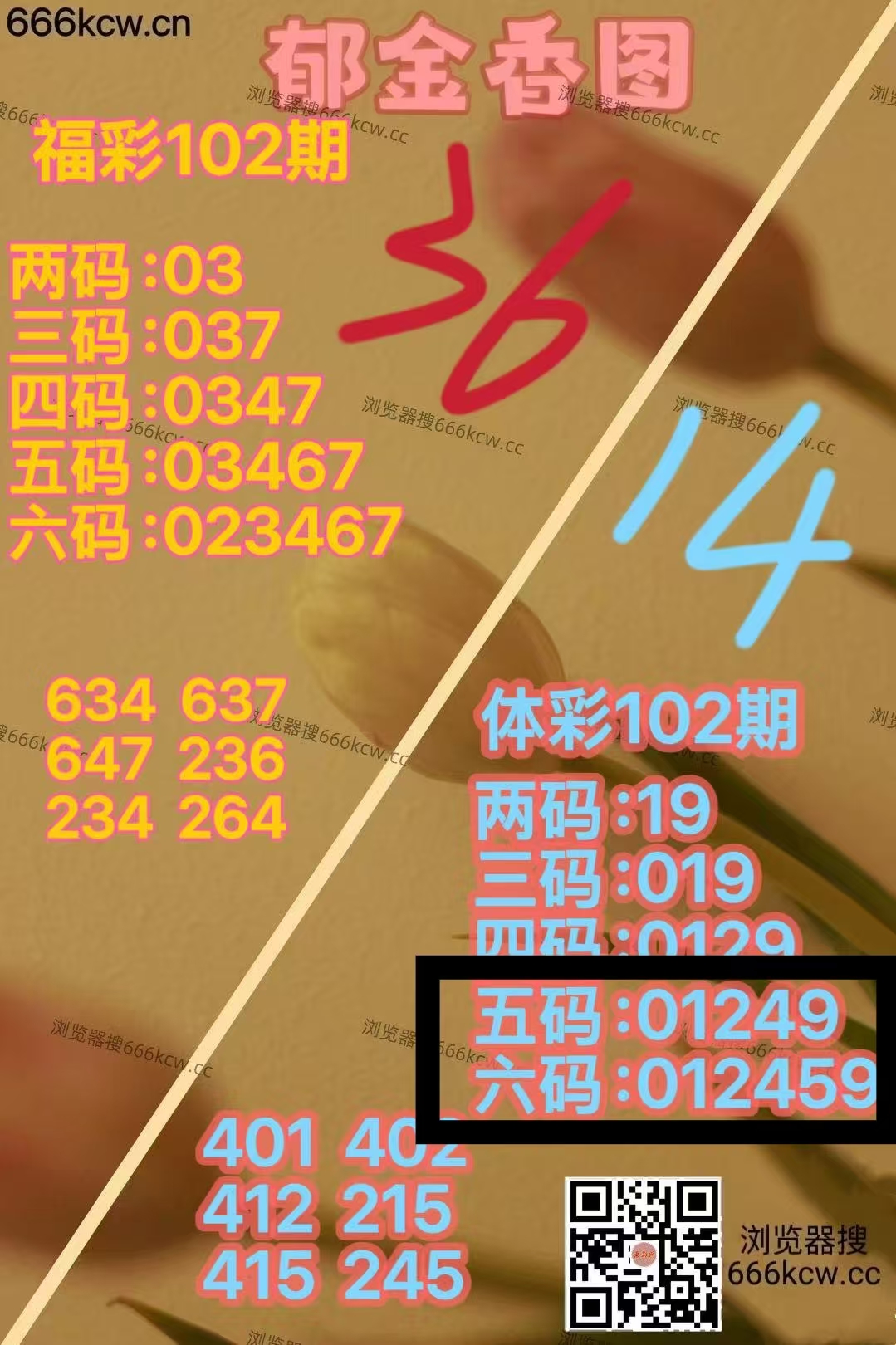 微信图片_20260423030213_6116_1