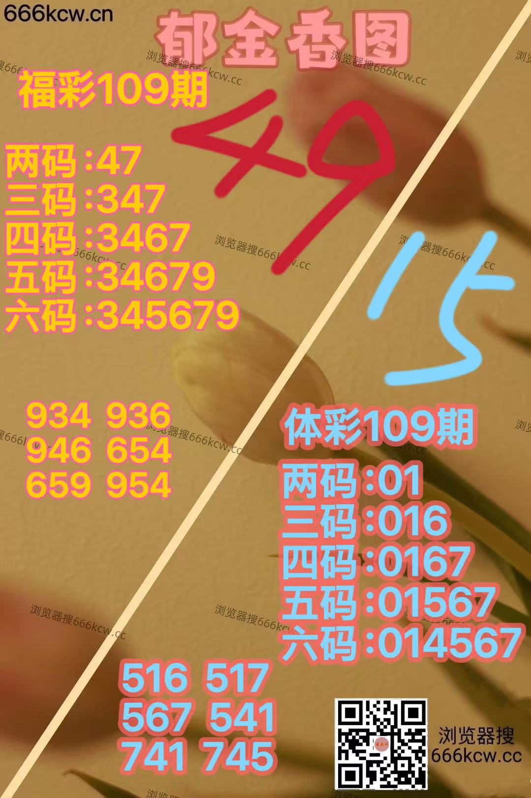 20260429 (23)