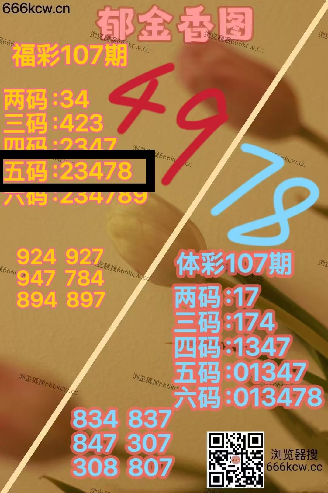 微信图片_20260427220218_6267_1