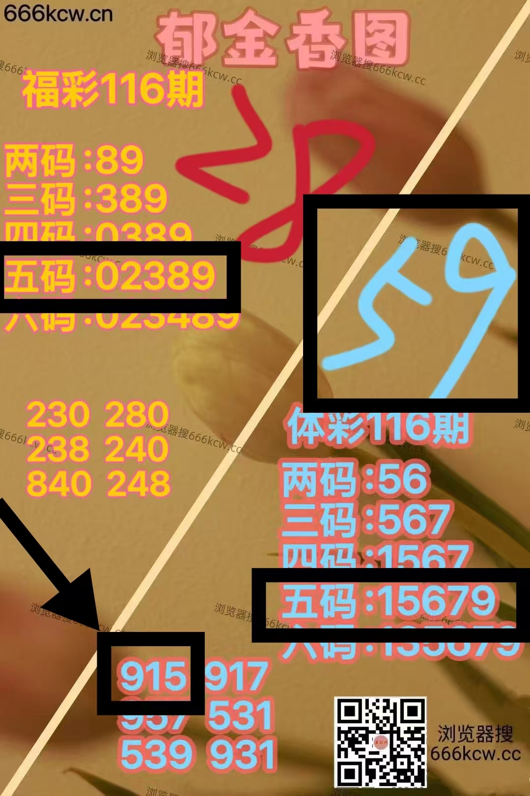 微信图片_20260506222258_6491_1