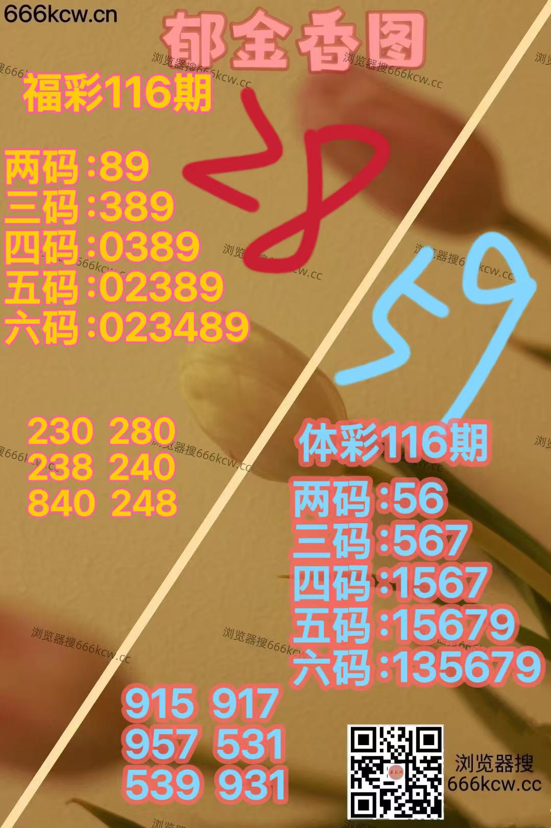 20260506 (19)