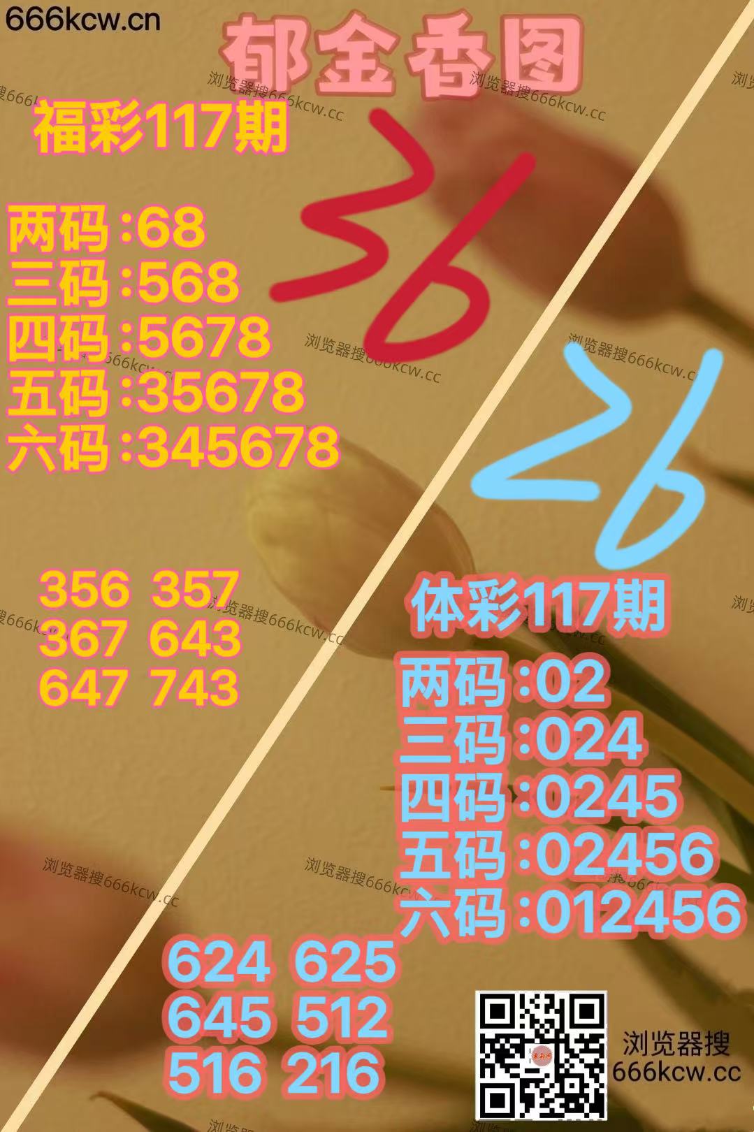 20260507 (20)