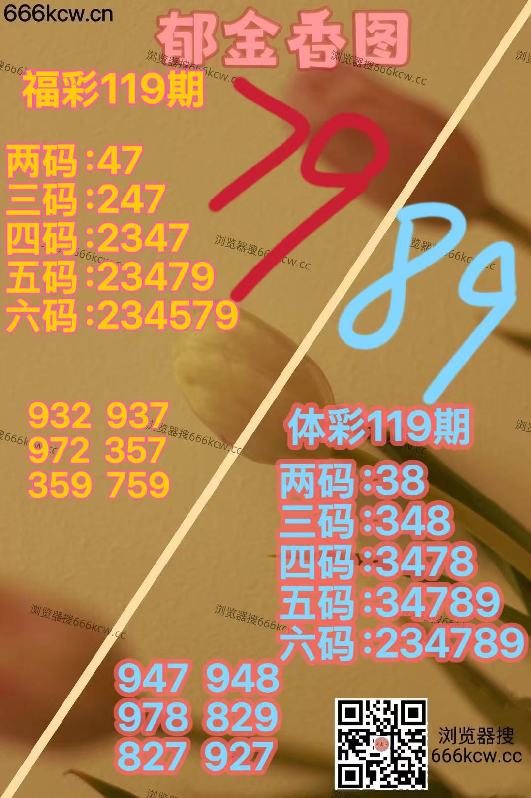 20260509 (2)