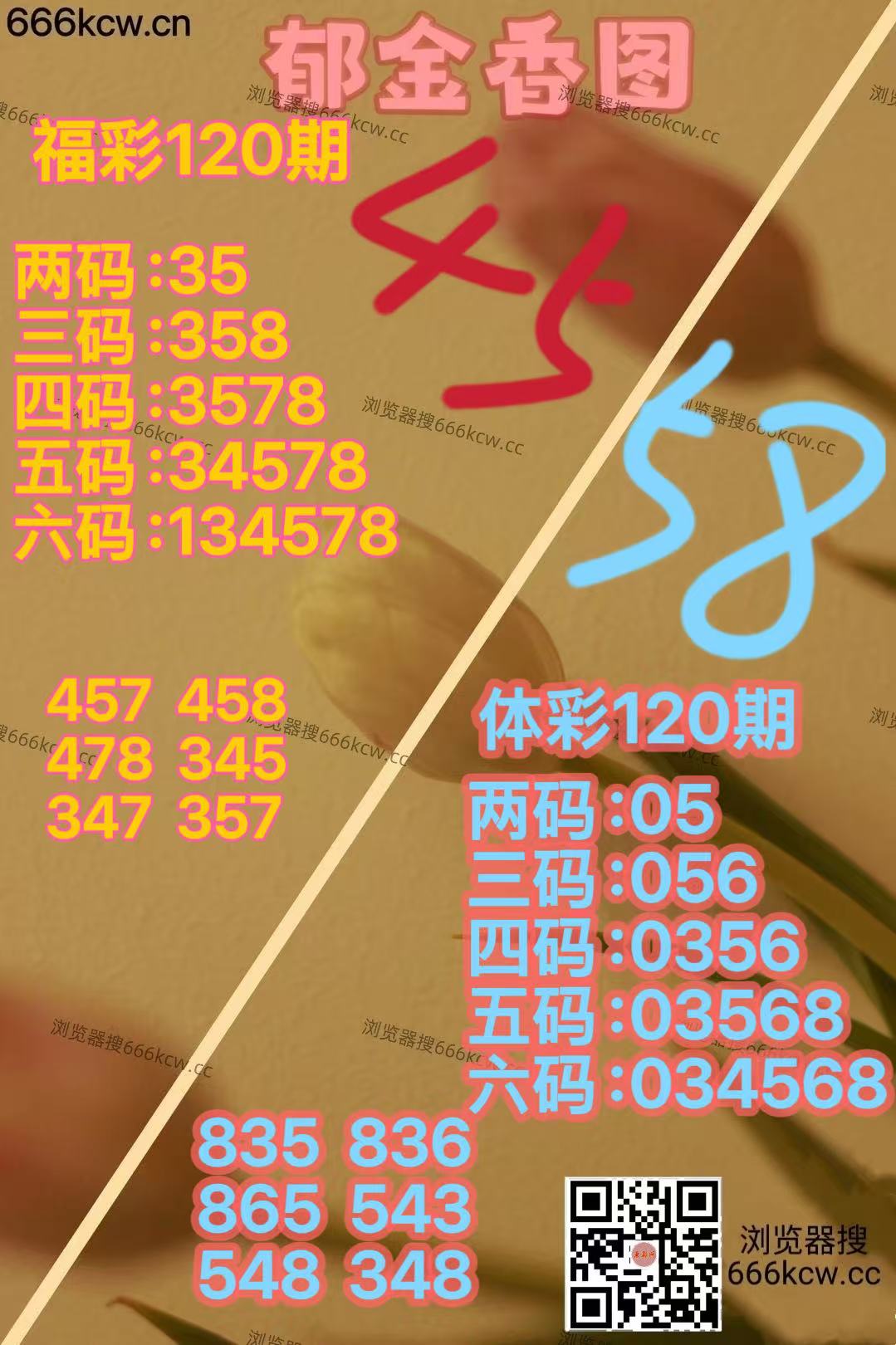 20260510 (26)