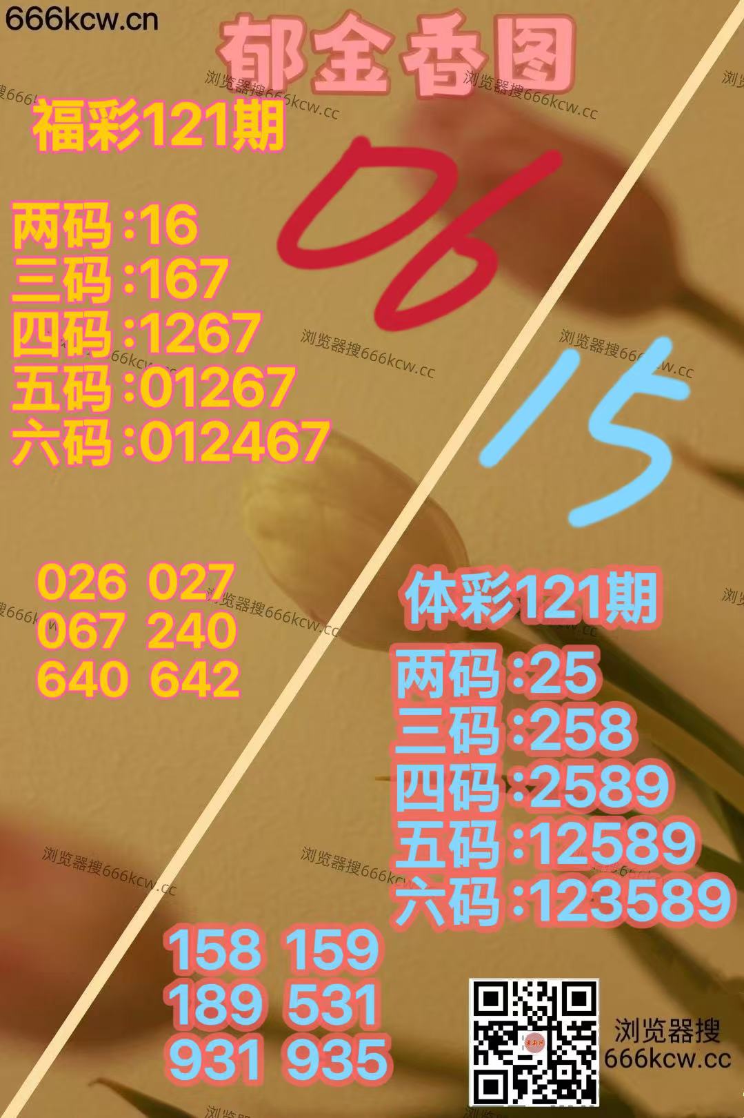 20260511 (3)