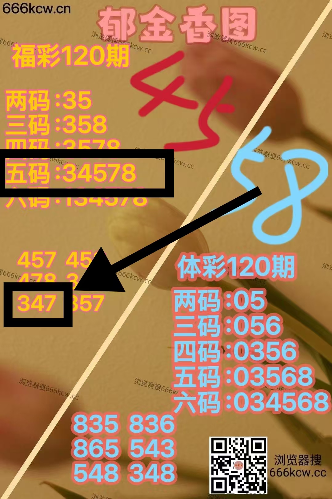 微信图片_20260510232516_6600_1