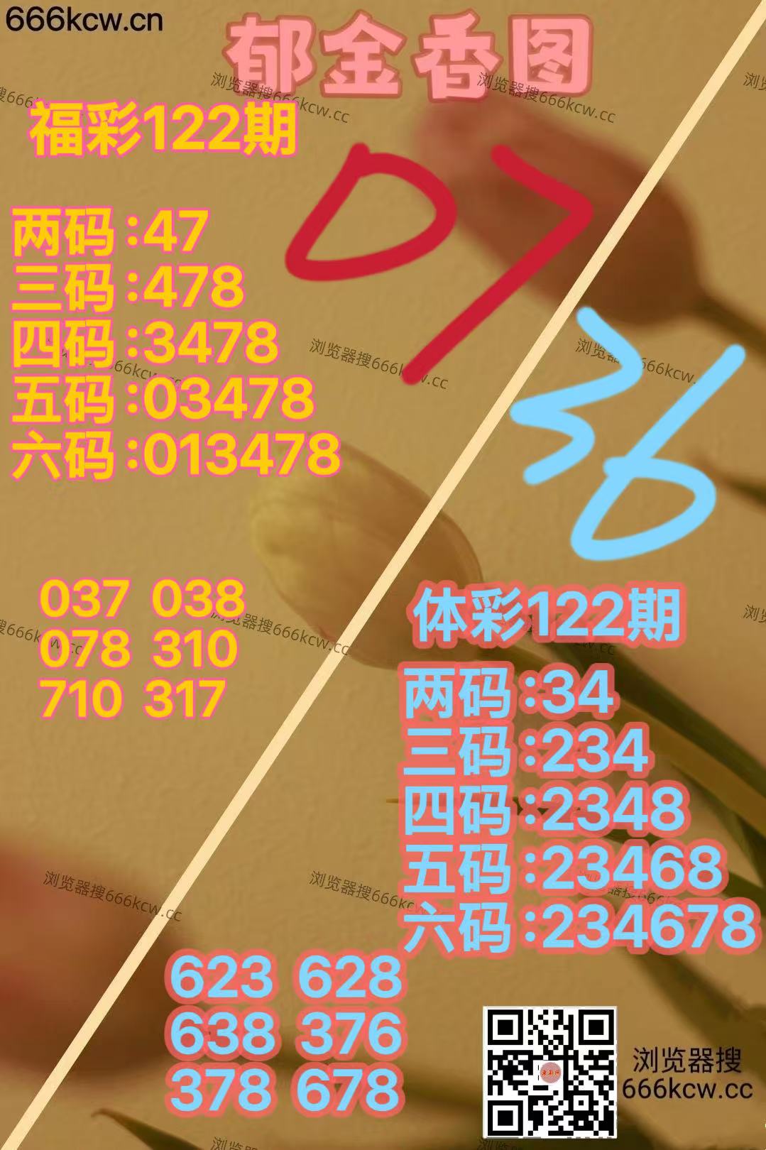20260512 (19)