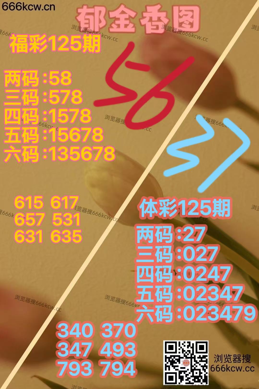 微信图片_20260515140304_1703_2