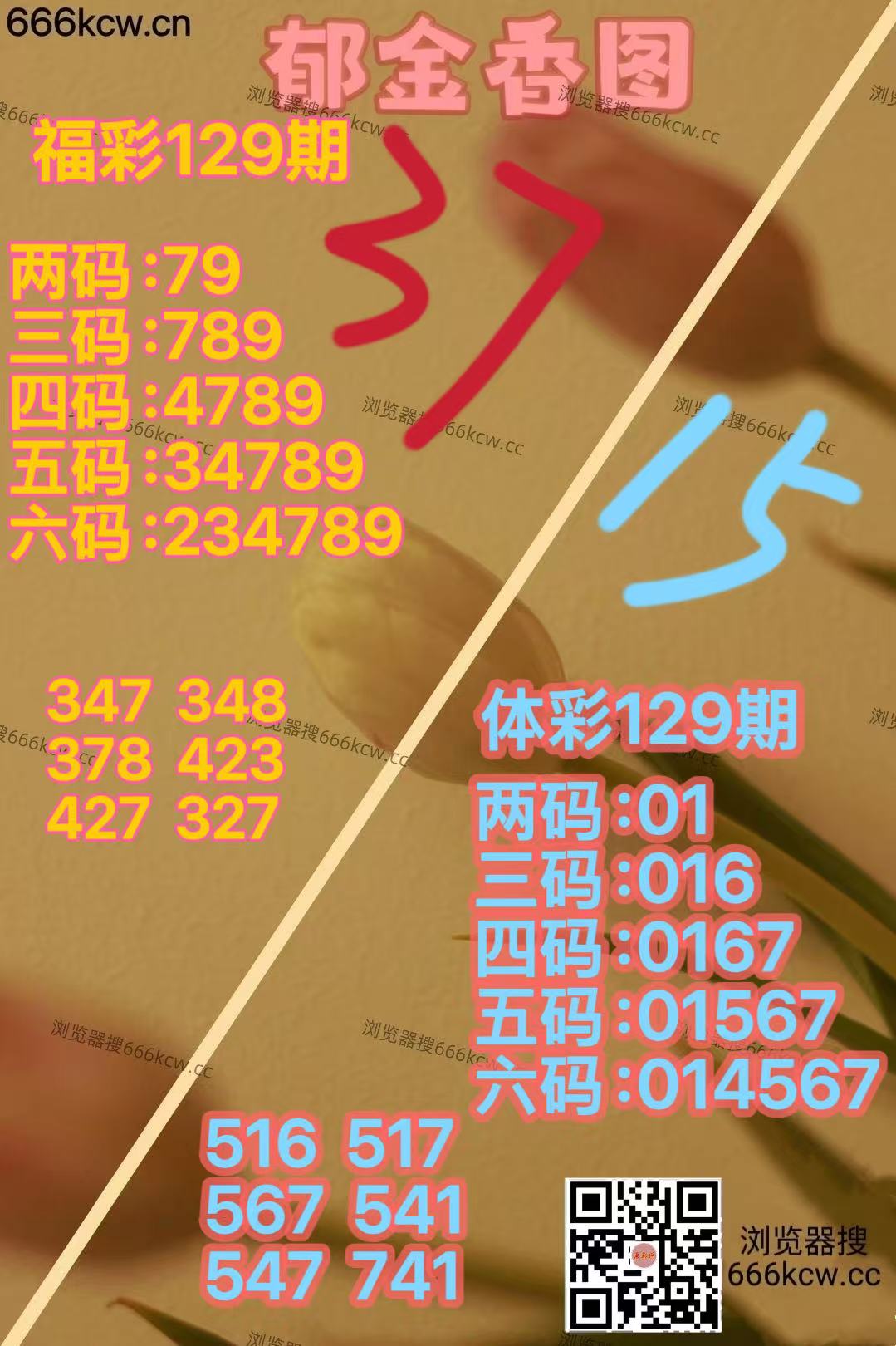 微信图片_20260519170629_1787_2
