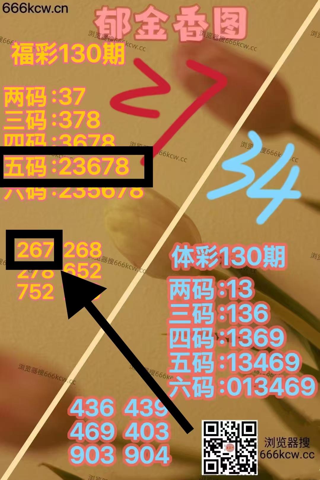 微信图片_20260520232948_6854_1