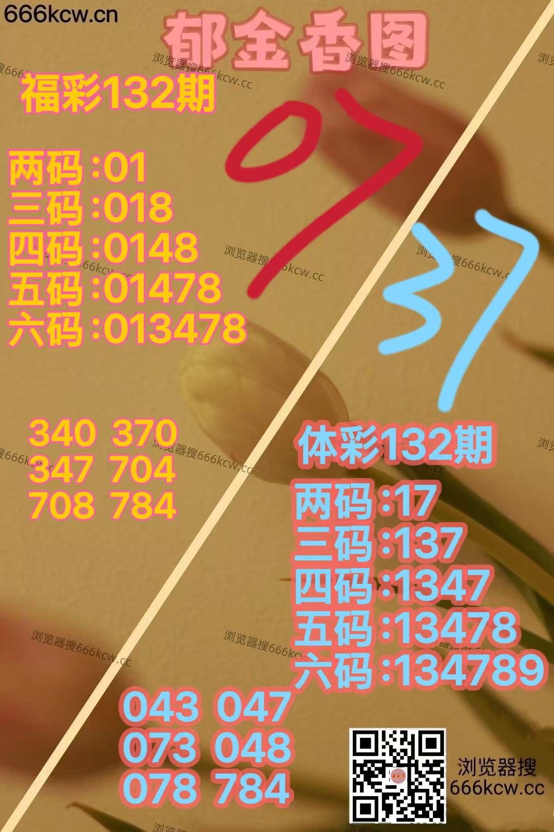 微信图片_20260522172345_1940_2