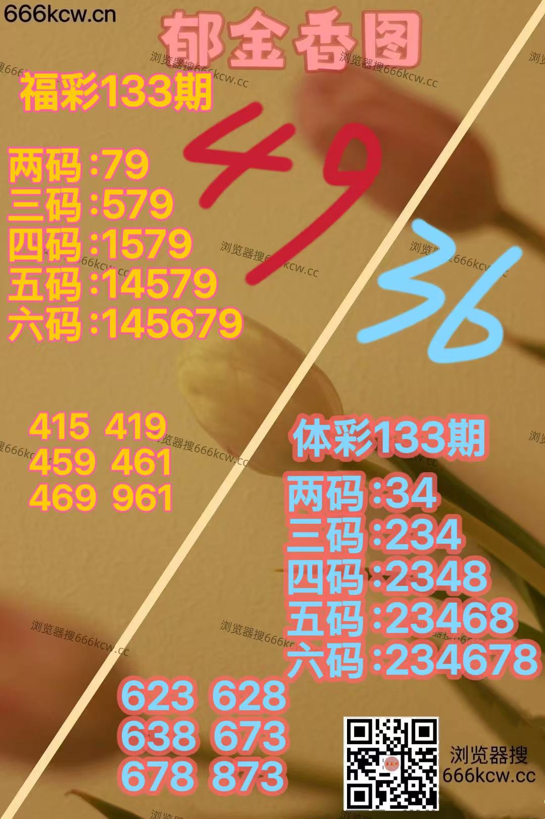 微信图片_20260523161327_1954_2