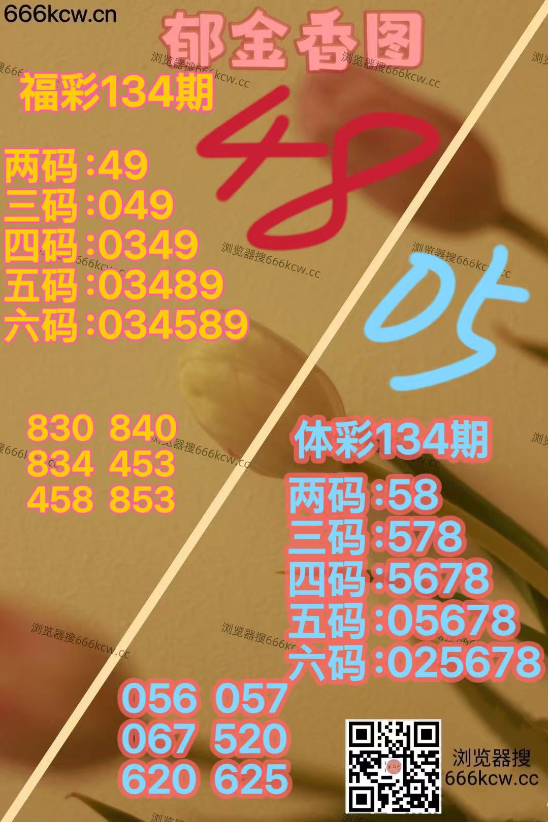 20260524-1 (11)