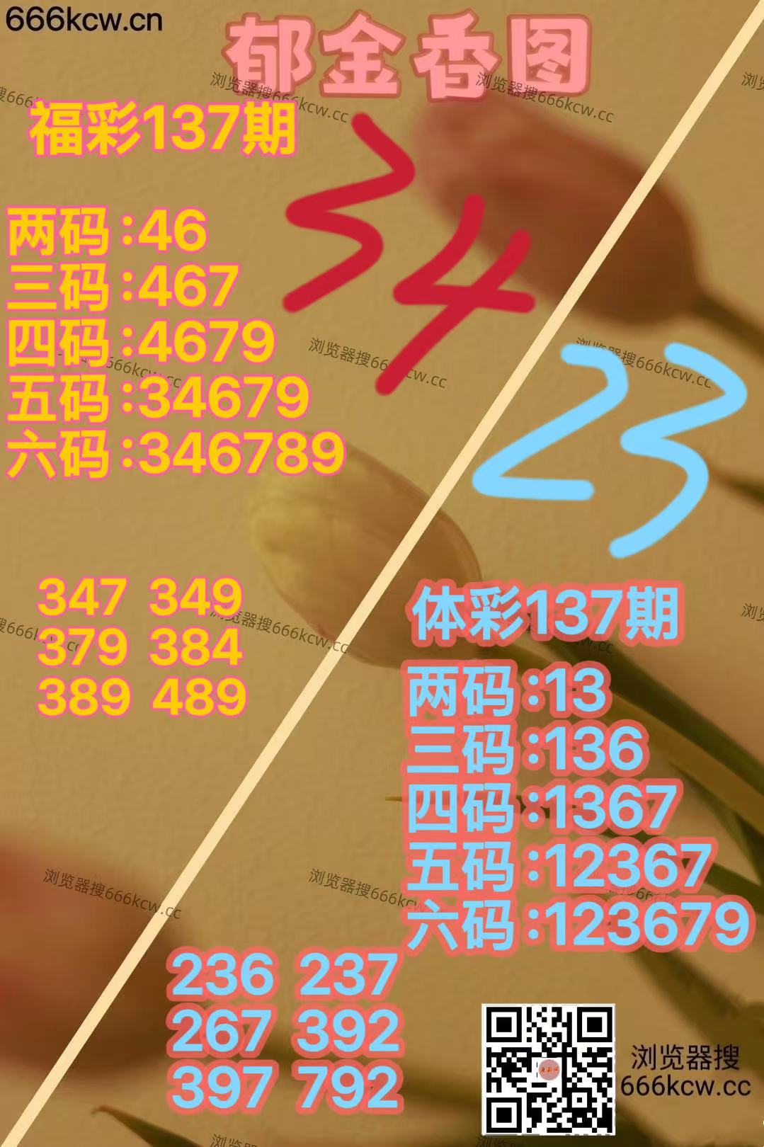 mmexport1779871930661