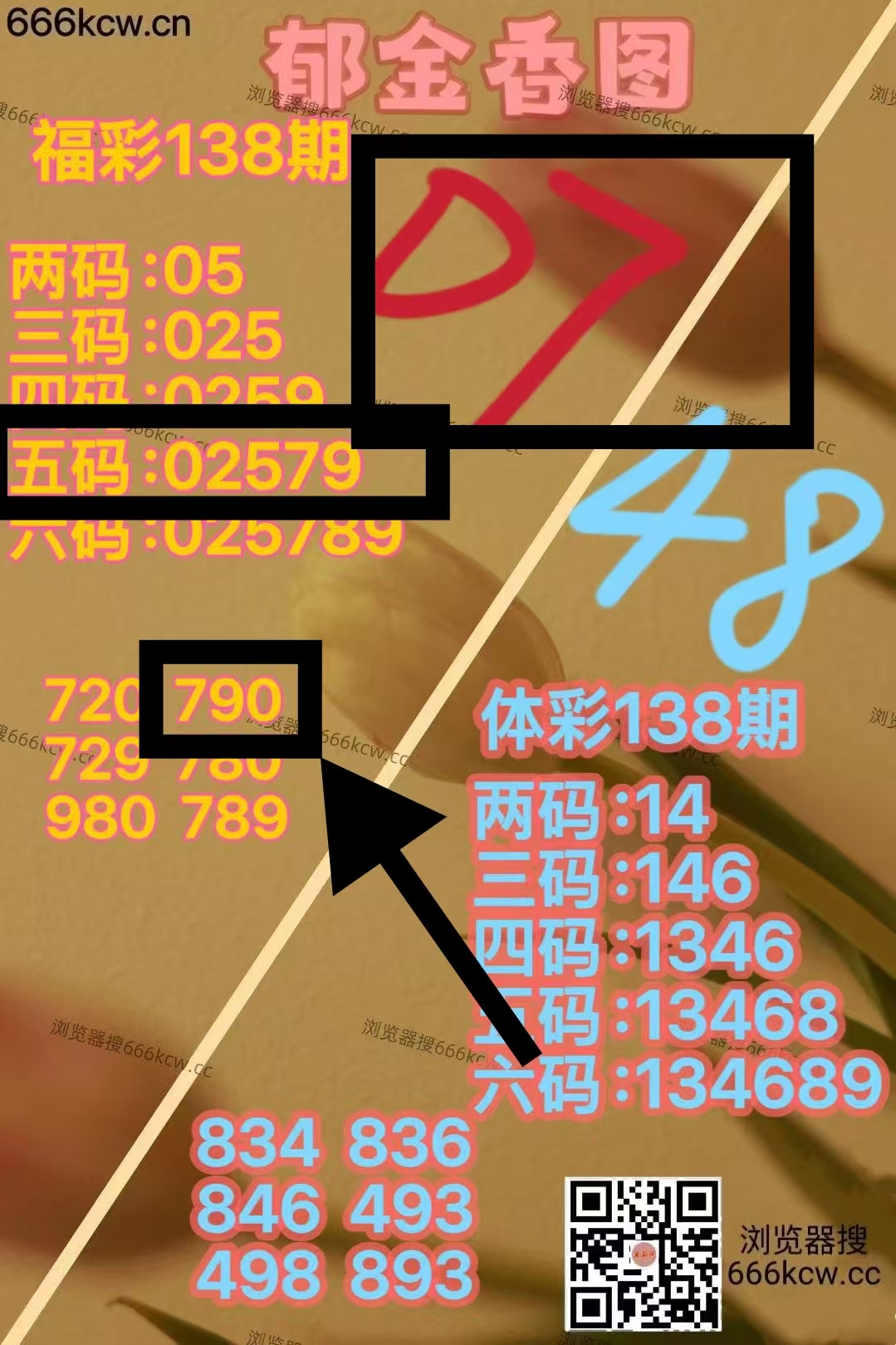 微信图片_20260528214105_1750_9